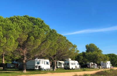 Camping Vransko Jezero Crkvine