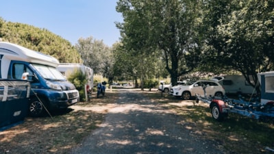 COMFORT PITCH (1 car + tent , caravan or camping-car + electricity) — 2