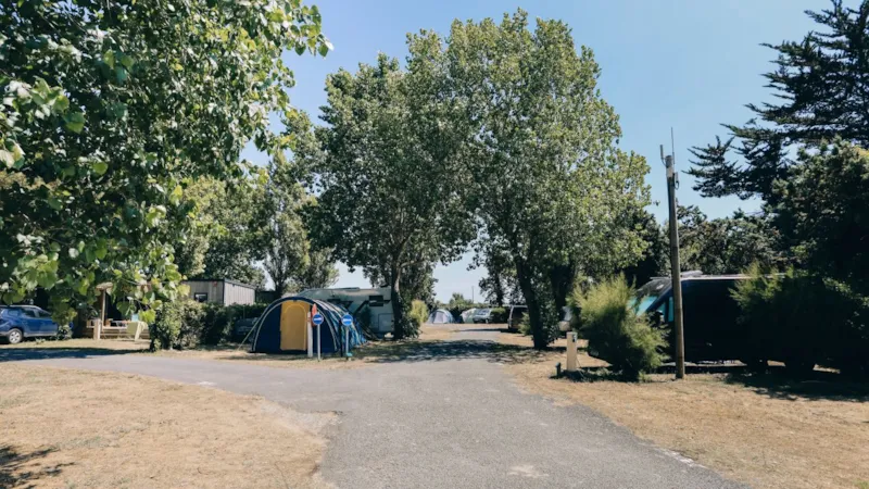 Forfait Confort (1 Voiture + Tente, Caravane Ou Camping-Car + Électricité)