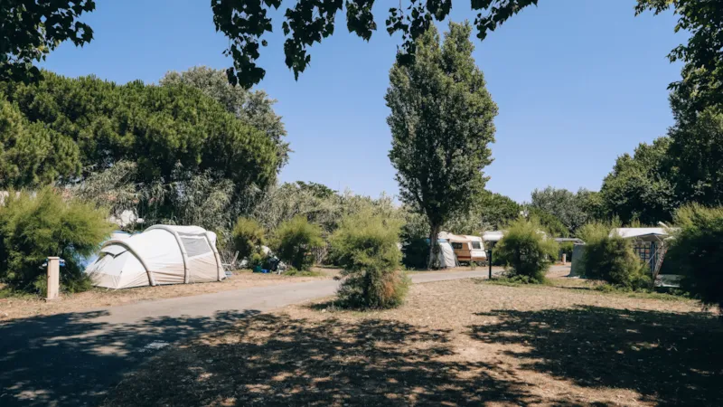 Forfait Confort (1 Voiture + Tente, Caravane Ou Camping-Car + Électricité)