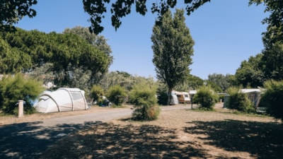 COMFORT PITCH (1 car + tent , caravan or camping-car + electricity) — 1