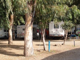 Kampeerplaats(en) - Standplaats Tent, Caravan Of Camper - Camping Salicamp Boschetto Holiday