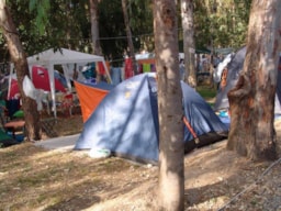 Kampeerplaats(en) - Standplaats (Kleine Tent) - Camping Salicamp Boschetto Holiday