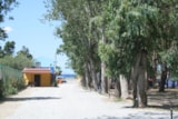 Foto #4 van Batuca Village & Camping