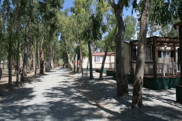 Camping Salicamp Boschetto Holiday - image n°9 - Roulottes