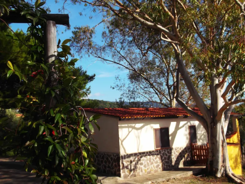 Appartement (Une Pièce)