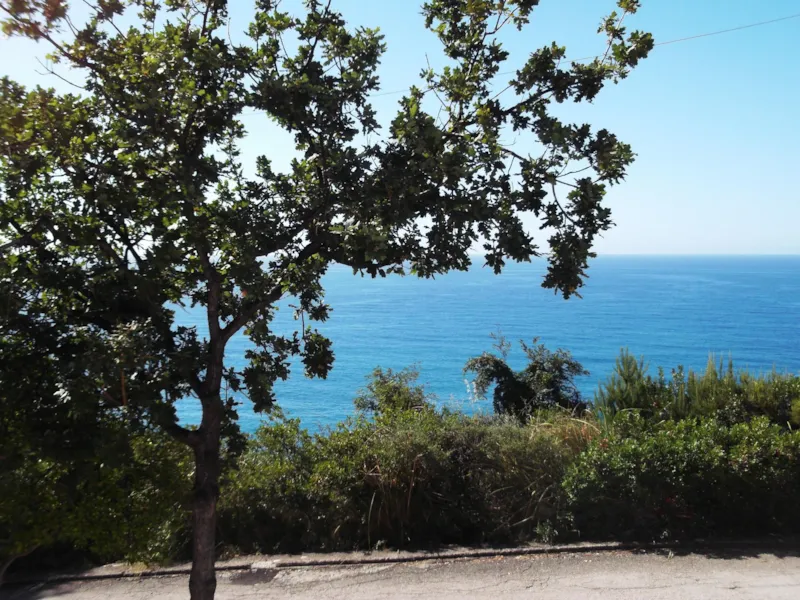 Bungalow (Une Pièce)