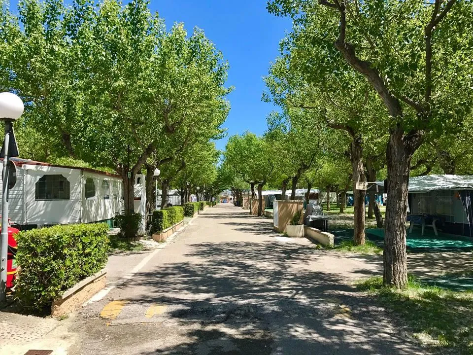 Club del Sole - International Riccione Camping Village - image n°1 - Camping2Be