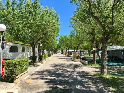 Club del Sole - International Riccione Camping Village - Camping2Be