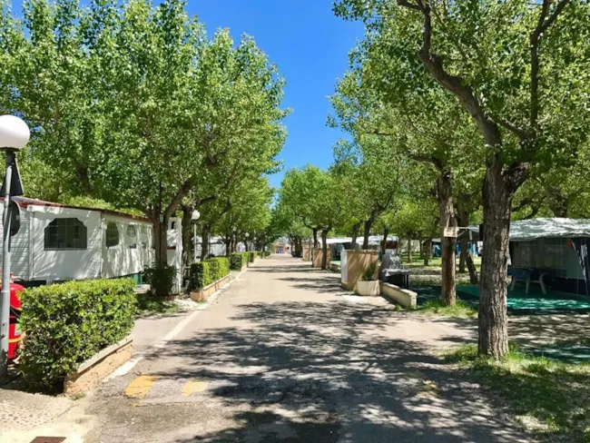 Club del Sole Riccione Easy Camping Village  - image n°1 - Camping Direct