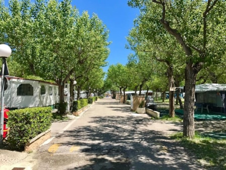 Club del Sole Riccione Easy Camping Village