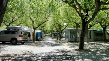 Stellplatz - Stellplatz Standard Haustiere Erlaubt - Club del Sole Riccione Easy Camping Village 