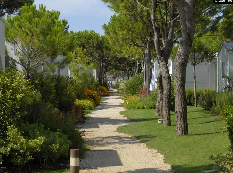 Club del Sole Jesolo Family Resort 