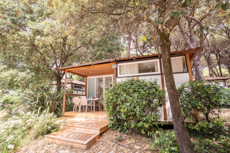 Chalet Comfort