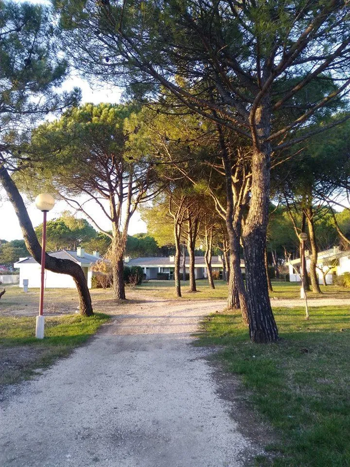 Club del Sole Marina Julia Family Collection