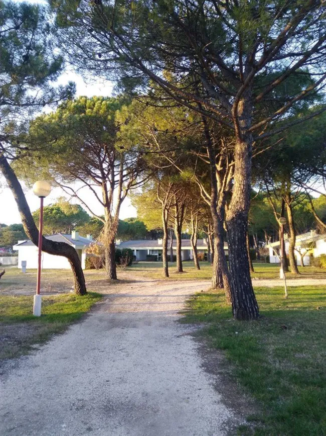 Club del Sole Marina Julia Family Collection - image n°4 - Camping Direct