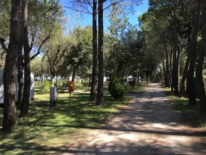 Piazzola