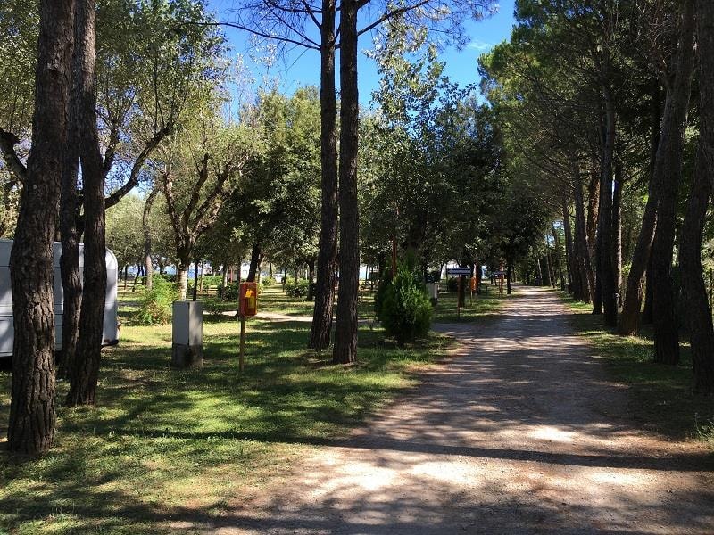 Piazzola Comfort Animali Ammessi