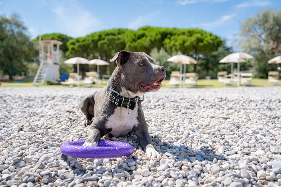 Club del Sole Marina Julia Family Collection