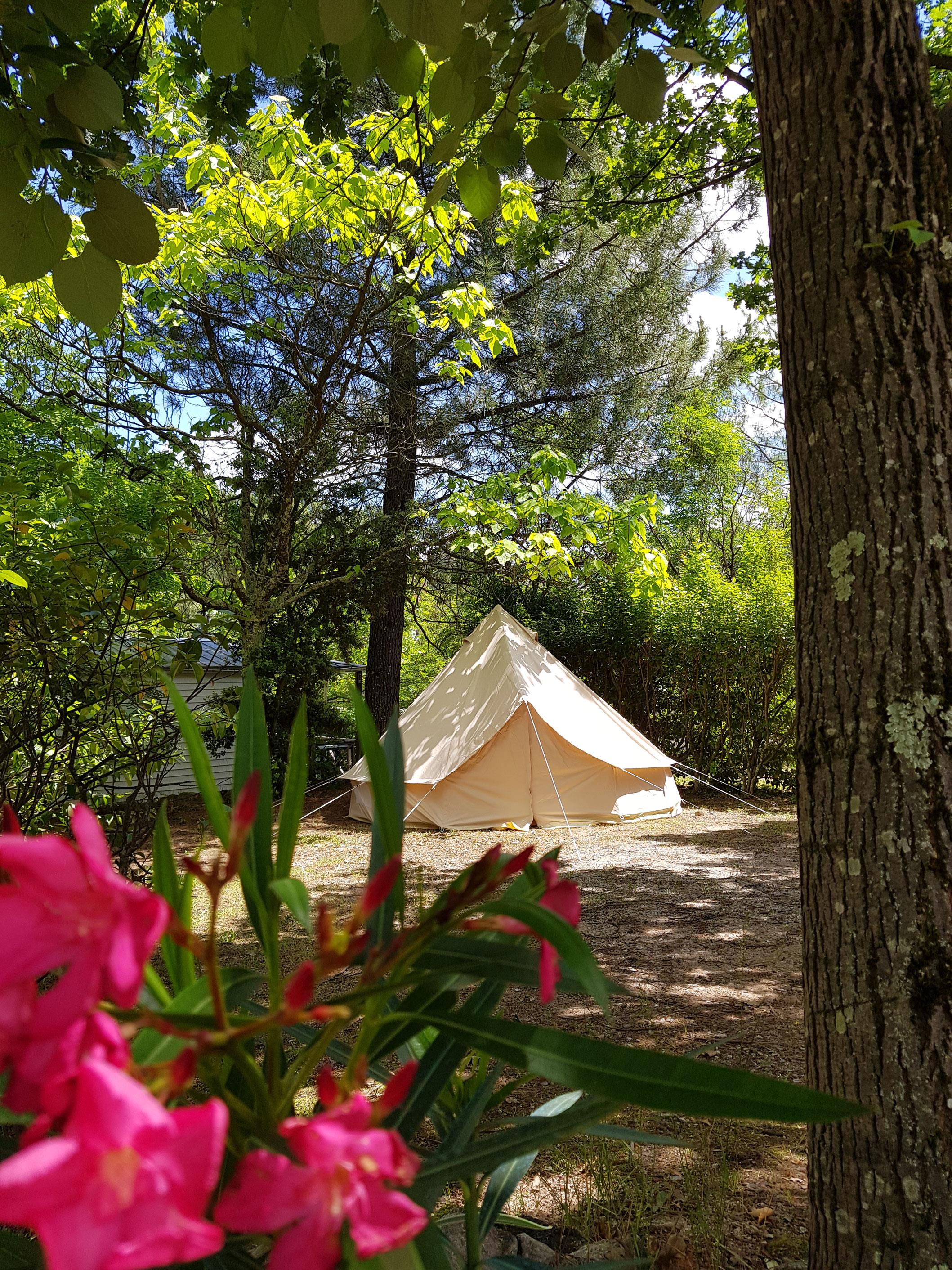 Kampeerplaats - Standplaats + 1 Voertuig - Camping Hello Soleil