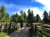 Foto #23 van Camping Park Baita Dolomiti Village
