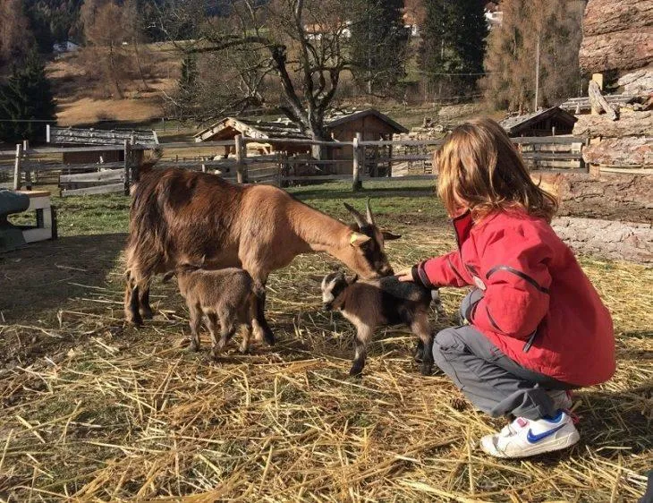 Camping Park Baita Dolomiti Village