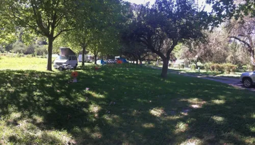 Emplacement - Emplacement Nature : Sans Électricité - image n°1 - Camping Les Guilles