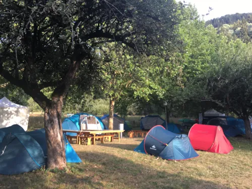 Emplacement - Emplacement Nature : Sans Électricité - image n°3 - Camping Les Guilles
