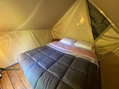 Tent Glamping + Electricity