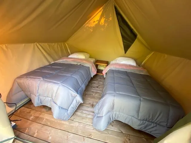 Tente Glamping Avec Électricité Lits Twins
