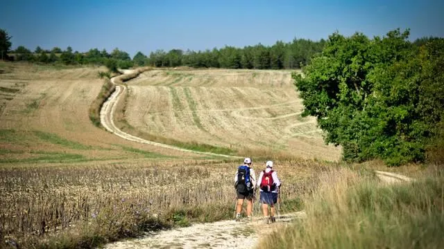 Les Bois de Prayssac