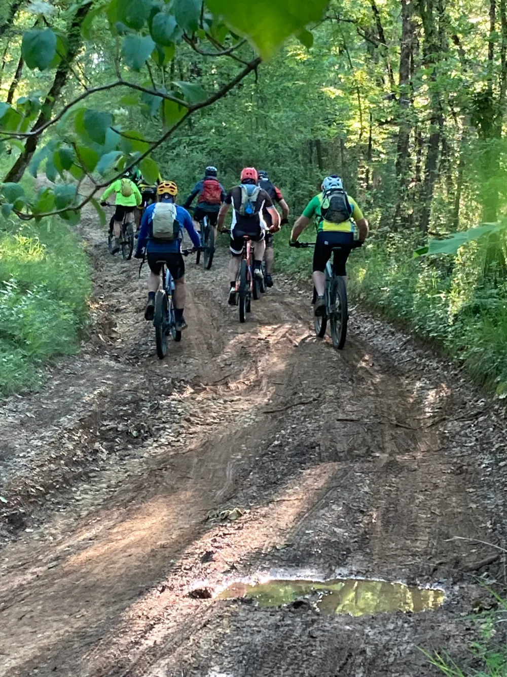 Les Bois de Prayssac