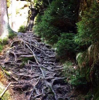 Camping de Regenboog - image n°69 - UniversalBooking