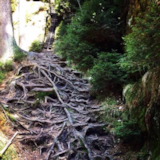 Foto #55 van Camping de Regenboog