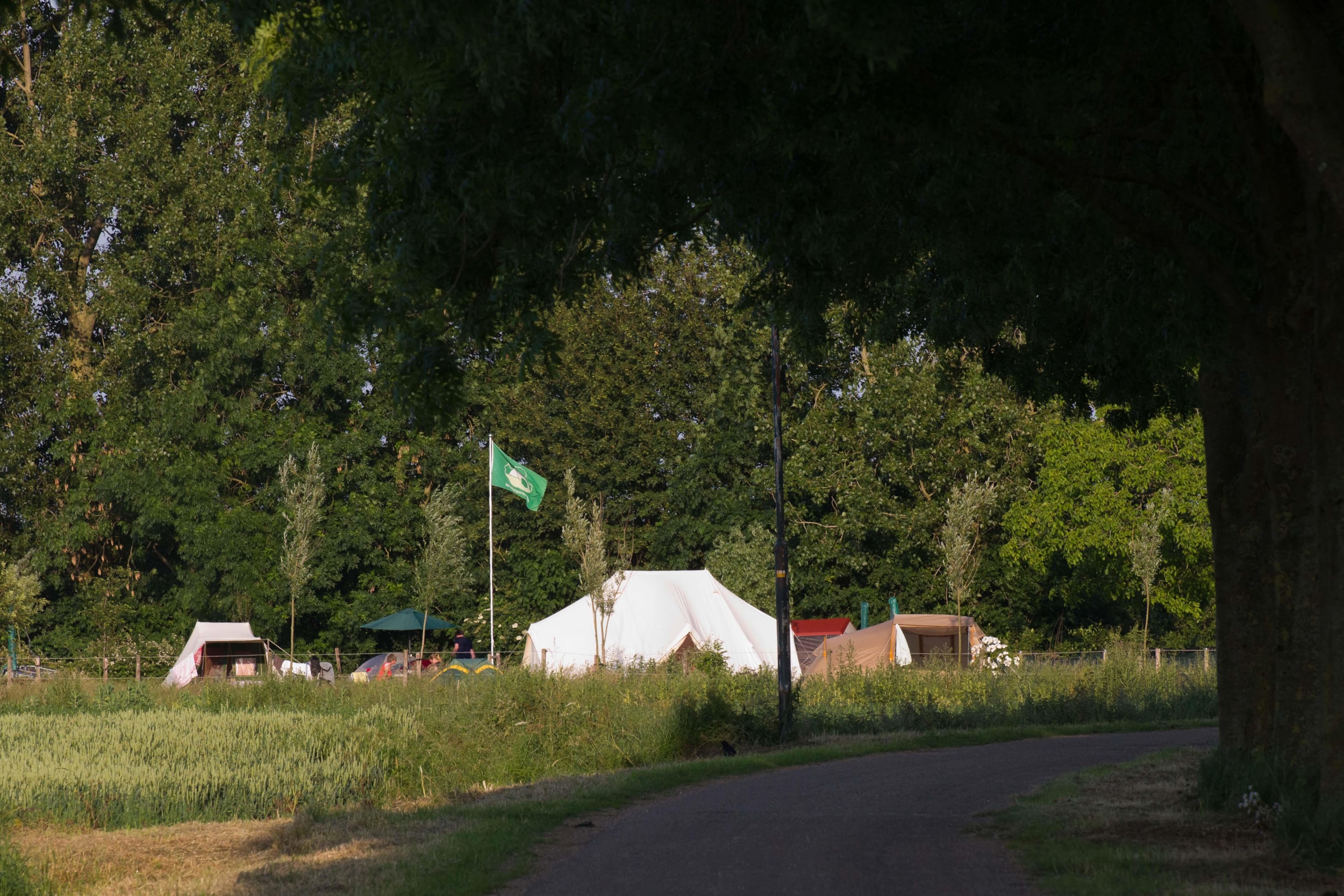 Camping de Maasakker — Photo 7