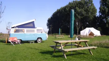 Pitch - Van - Camping de Maasakker
