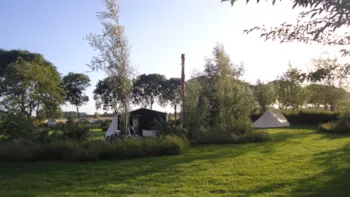 Pitch - Pitch: Trailer Tent - Camping de Maasakker
