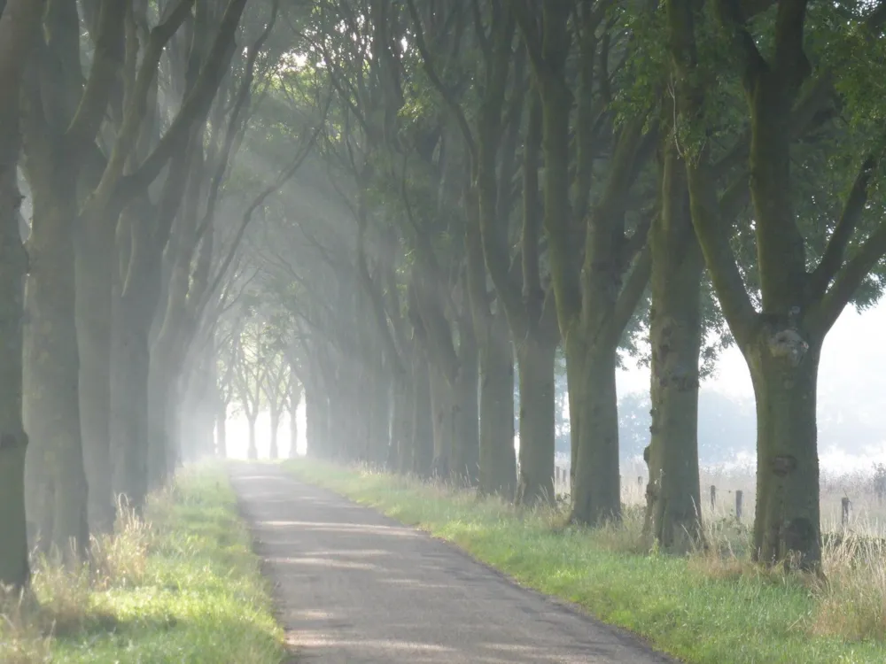 Camping de Maasakker - image n°13 - UniversalBooking