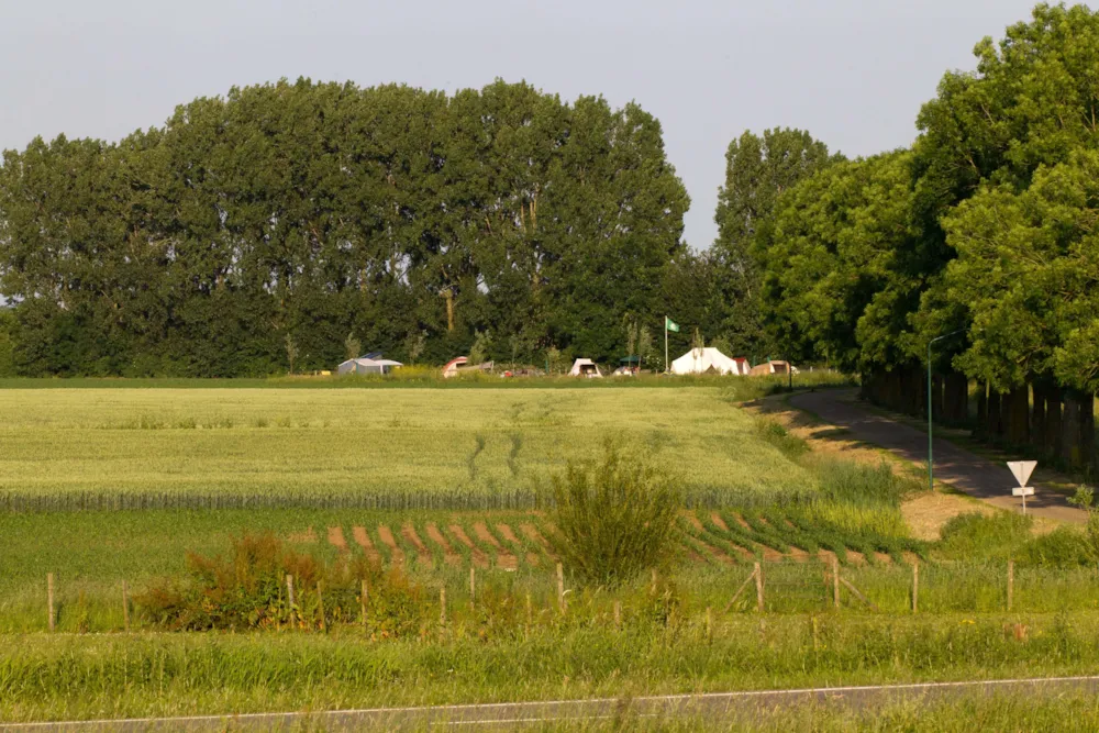 Camping de Maasakker - image n°14 - UniversalBooking