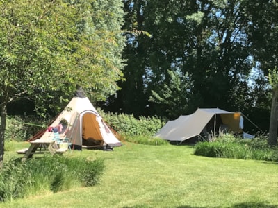 Pitch for  tent — 1