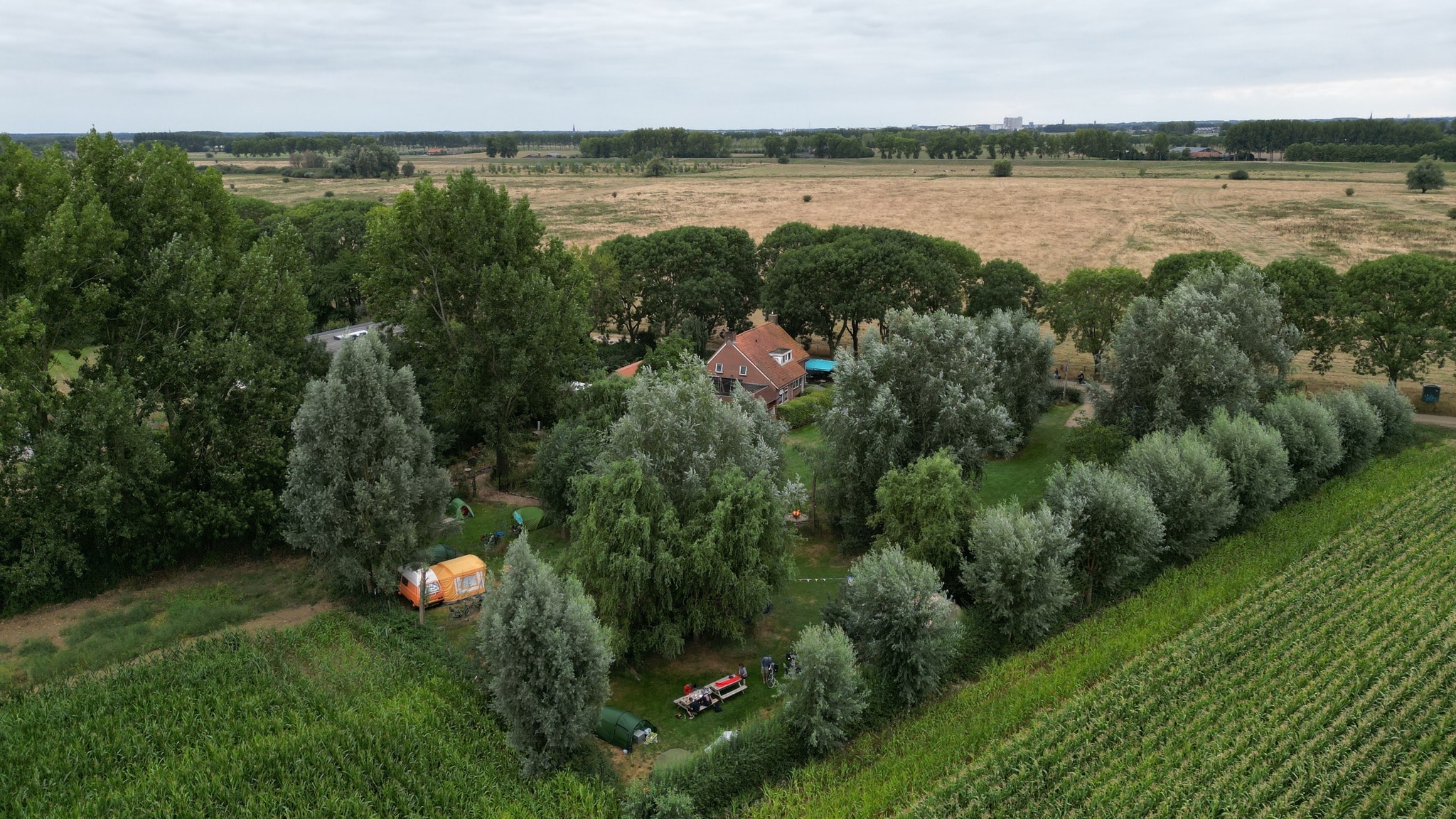 Camping de Maasakker — Photo 6