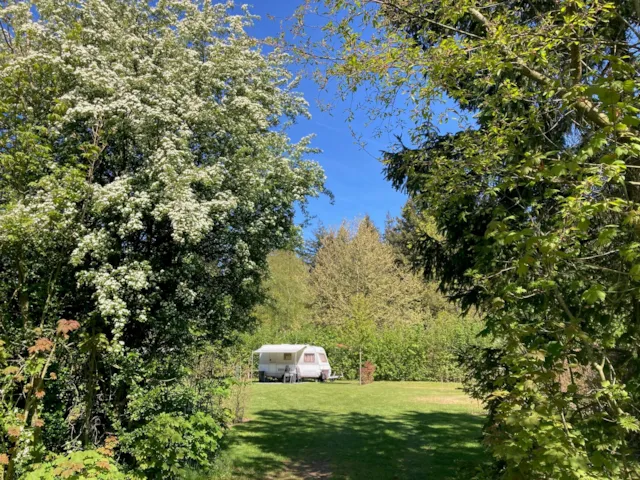 Parkcamping 't Ravenest - image n°1 - Camping Direct