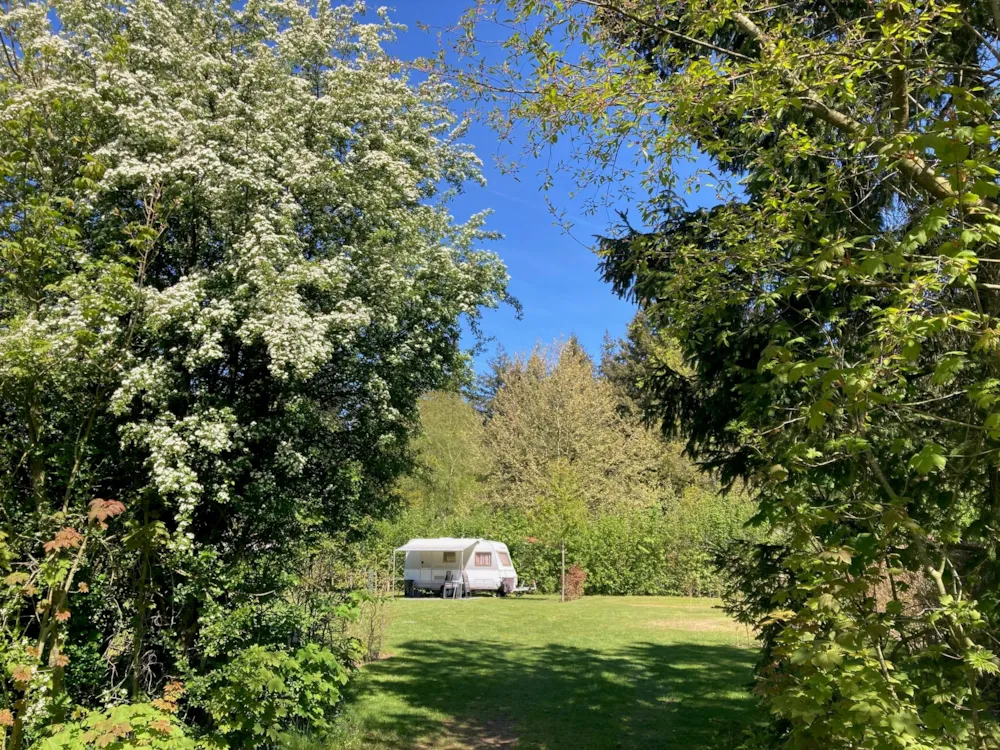 Parkcamping 't Ravenest - image n°1 - Camping Direct