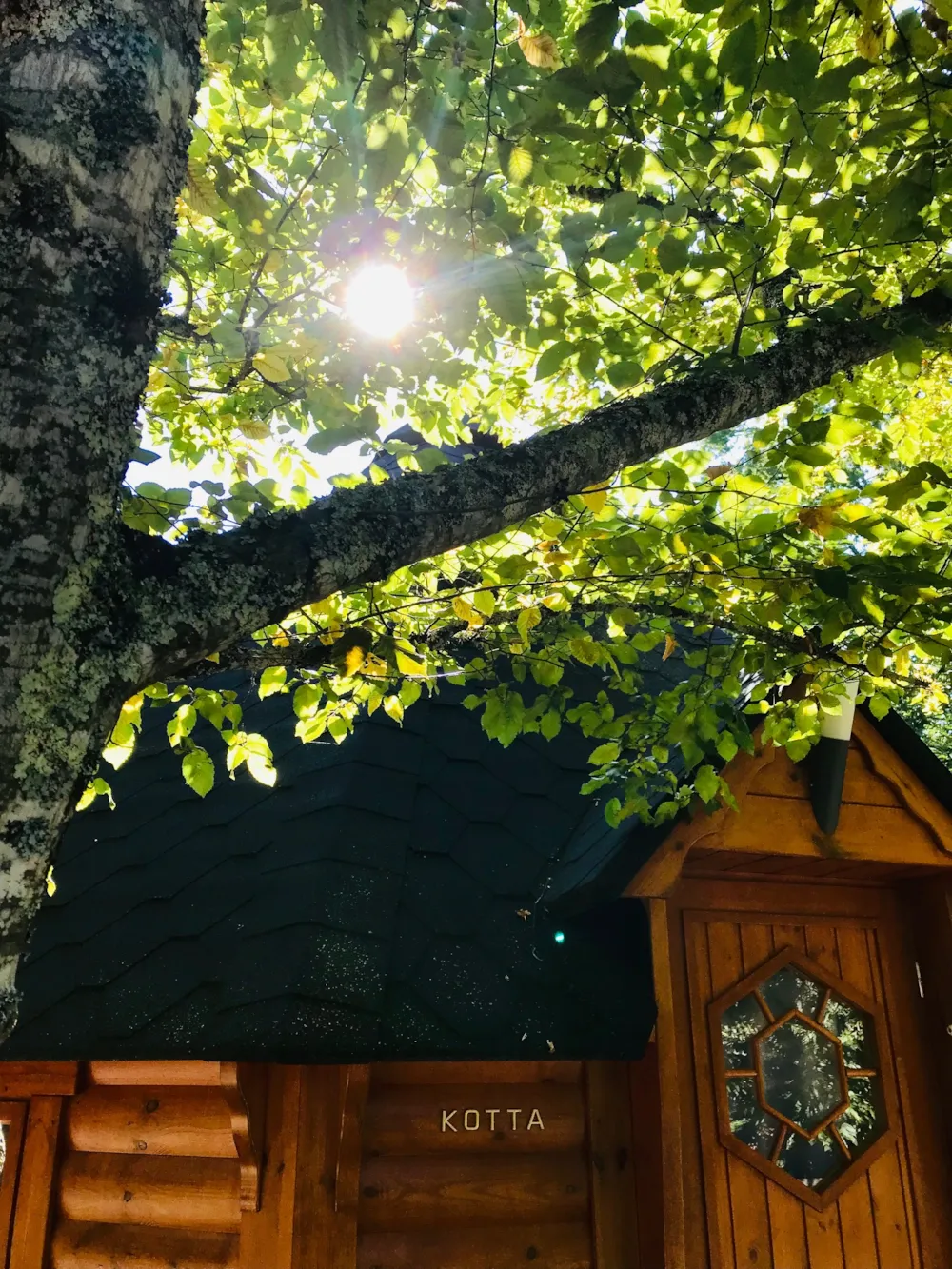 Wooden cabin du Charme