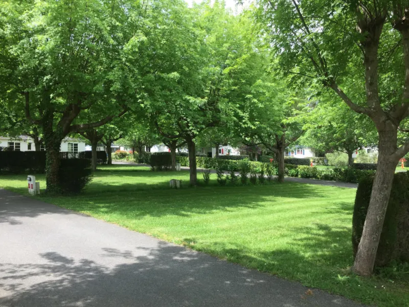 Emplacement Caravane, Camping Car Ou Van