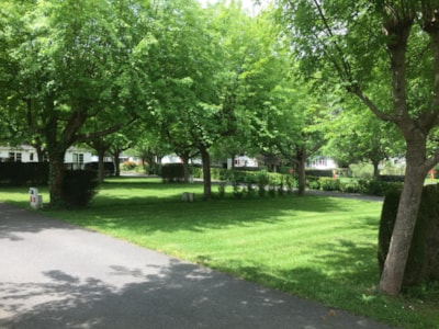 Pitch Caravan, Motorhome or Van — 4