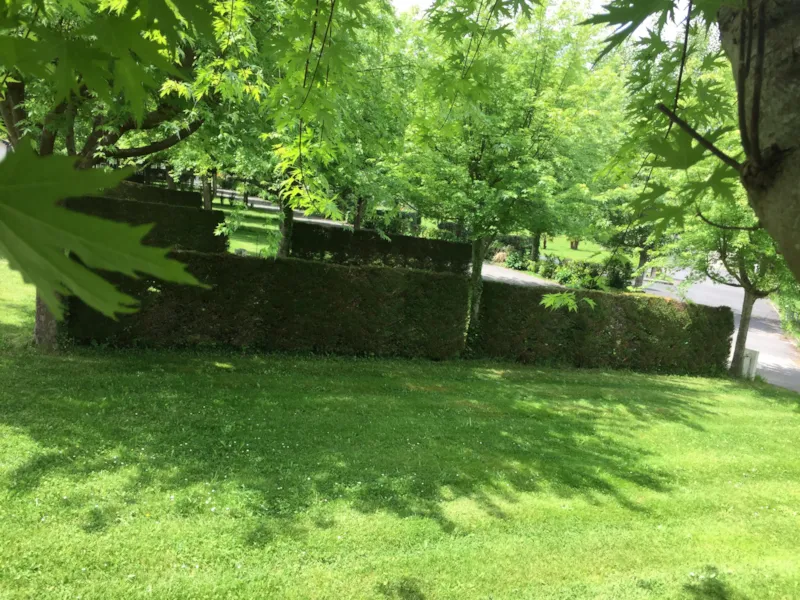 Emplacement Caravane, Camping Car Ou Van