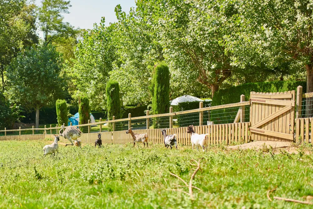 Camping la Ferme des 4 Chênes