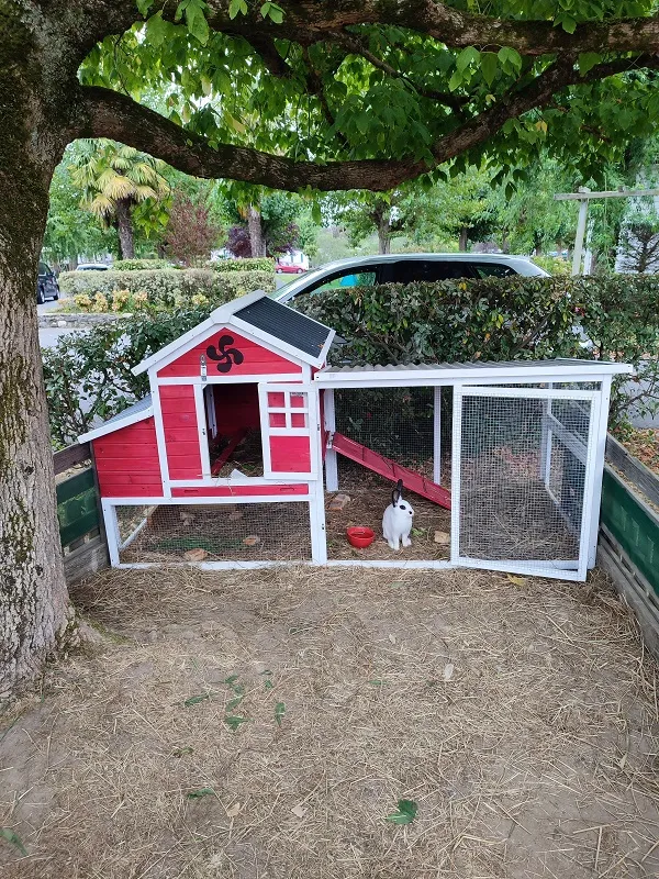 Camping la Ferme des 4 Chênes