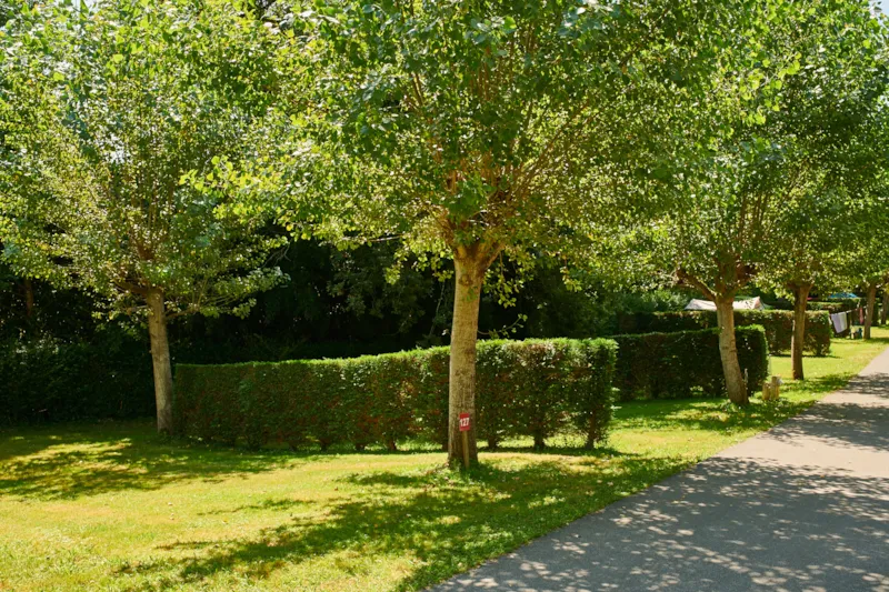 Emplacement Tente Uniquement